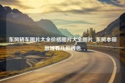 东风轿车图片大全价格图片大全图片_东风本田思域有几款颜色