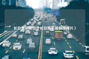 长安奥拓报价（长安奥拓报价及图片）