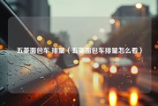 五菱面包车 排量（五菱面包车排量怎么看）