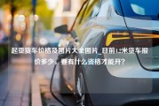 起亚货车价格及图片大全图片_目前4.2米货车报价多少，要有什么资格才能开？