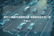 渣打CFO敦促市场着眼大局 早前股价在伦敦一度下跌18%