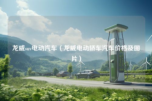 龙威suv电动汽车（龙威电动轿车汽车价格及图片）