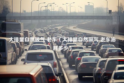 大排量自然吸气 老车（大排量自然吸气 老车油耗多少）