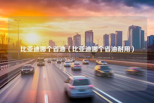 比亚迪哪个省油（比亚迪哪个省油耐用）