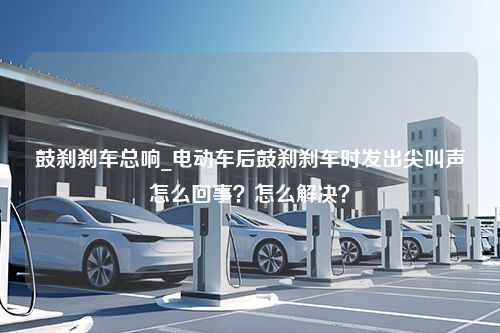 鼓刹刹车总响_电动车后鼓刹刹车时发出尖叫声怎么回事？怎么解决？