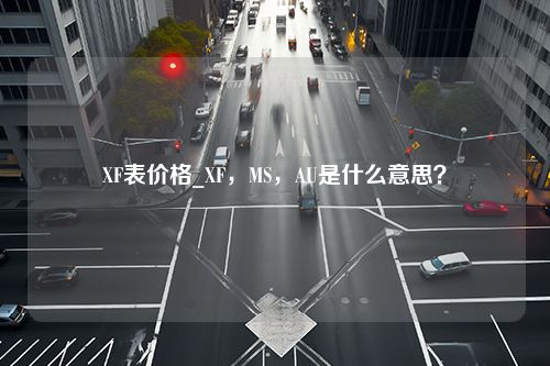 XF表价格_XF，MS，AU是什么意思？