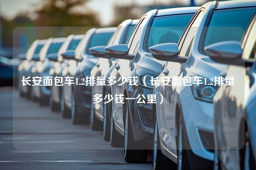 长安面包车1.2排量多少钱（长安面包车1.2排量多少钱一公里）