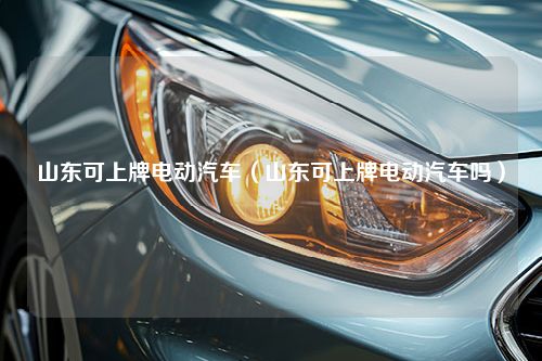 山东可上牌电动汽车（山东可上牌电动汽车吗）