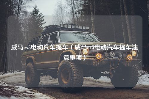 威马ex5电动汽车提车（威马ex5电动汽车提车注意事项）