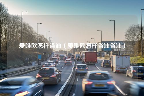 爱唯欧怎样省油（爱唯欧怎样省油省油）