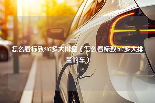 怎么看标致207多大排量（怎么看标致207多大排量的车）