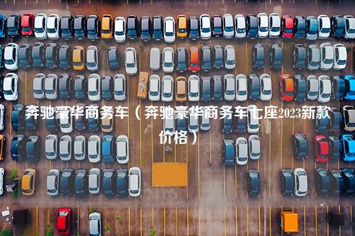 奔驰豪华商务车（奔驰豪华商务车七座2023新款价格）