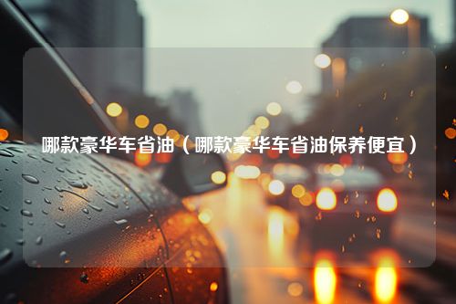 哪款豪华车省油（哪款豪华车省油保养便宜）