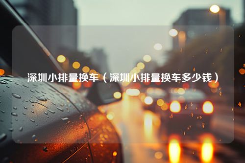 深圳小排量换车（深圳小排量换车多少钱）