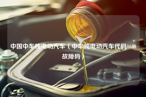 中国中车纯电动汽车（中车纯电动汽车代码1630故障码）