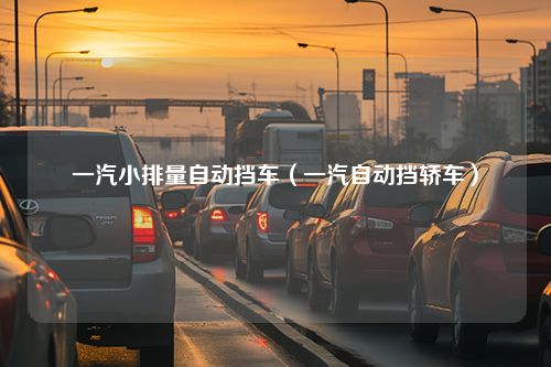 一汽小排量自动挡车（一汽自动挡轿车）